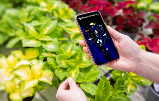 Descubre el Mundo Verde: Las Mejores Apps para Identificar Plantas