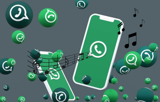 Ứng dụng tốt nhất để nghe nhạc trong trạng thái WhatsApp! Xin chào những người yêu âm nhạc và đam mê mạng xã hội! 🎵📱