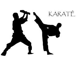 Domine o karate com estes apps! Se você sempre teve fascínio por artes marciais e sonhava em aprender karate, mas nunca teve tempo ou oportunidade de frequentar uma academia