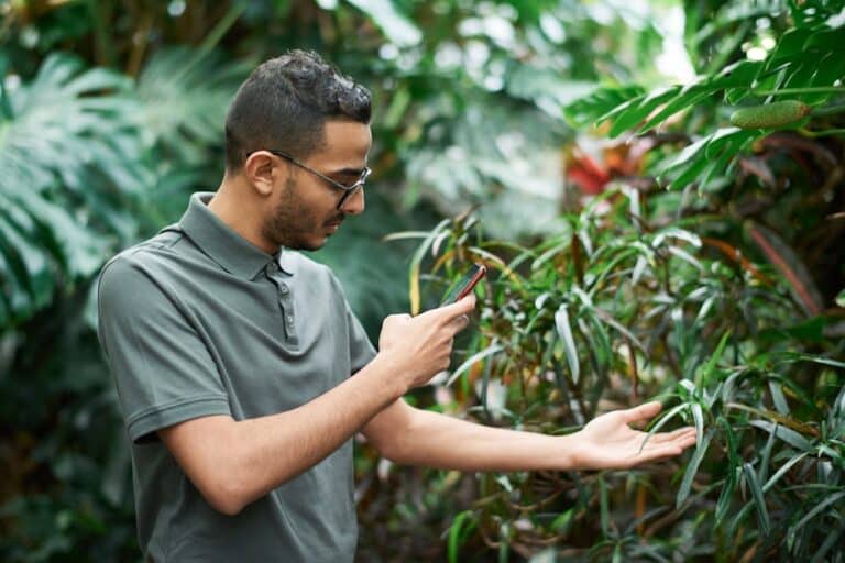 Decifre a Natureza com PlantNet