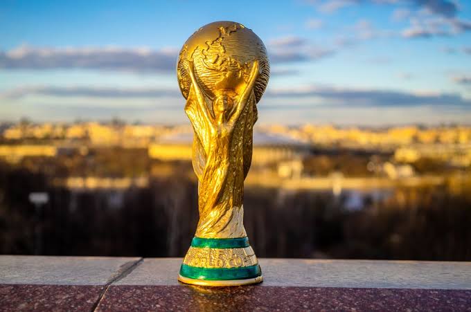 Seu Companheiro de Copa: Emoção Total